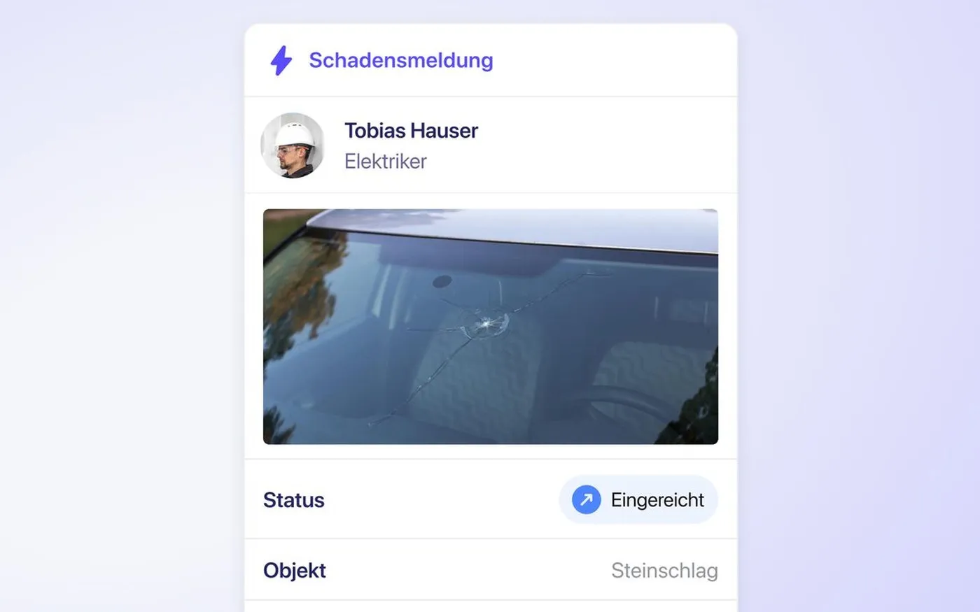 Vorschau Schadensmeldung